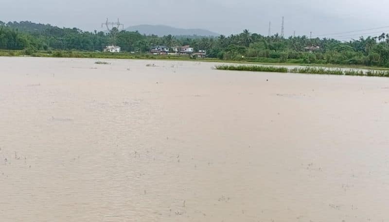 Inflow Water to Krishna River Due to Heavy Rain in Maharashtra and Belagavi grg