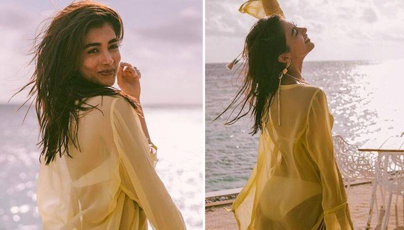 Hot bikini pictures: Pooja Hegde flaunts her beach bum on Bangkok vacation RBA