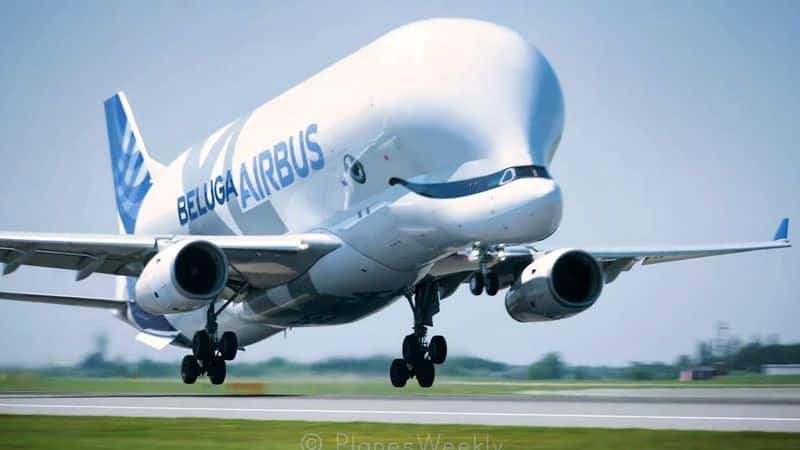 airbus beluga cargo flight landed  chennai international airport for the first time