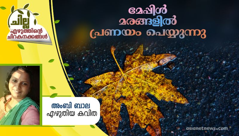 chilla malayalam poem by Ambi Bala