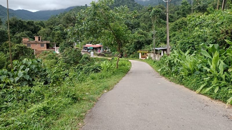 Kozhikode Poovaranthod awaits tourists during monsoons