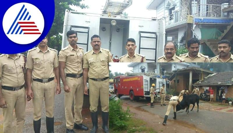 buffalo Rescued which it fell in a water tank at shivamogga gow