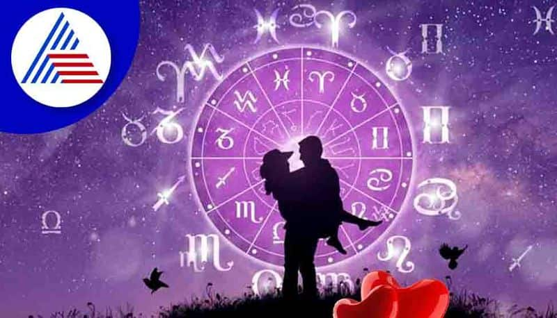 12 Zodiac Signs Love Life Analysis suh