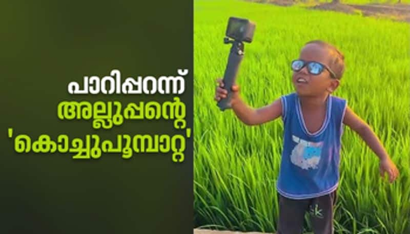  Allupan s little butterfly song viral on social media