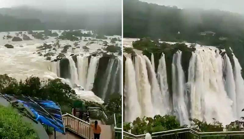 Watch Heavy rainfall in Karnataka makes magnificent Jog Falls mesmerising-tgy