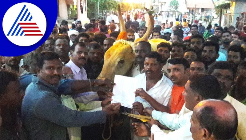 police found the missing chikkamagaluru ox and handed it over to the temple gvd