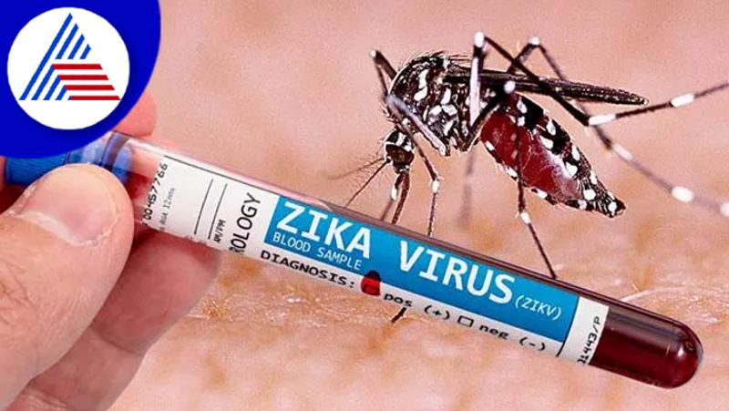 Not a single case of Zika virus has been detected in the state gvd