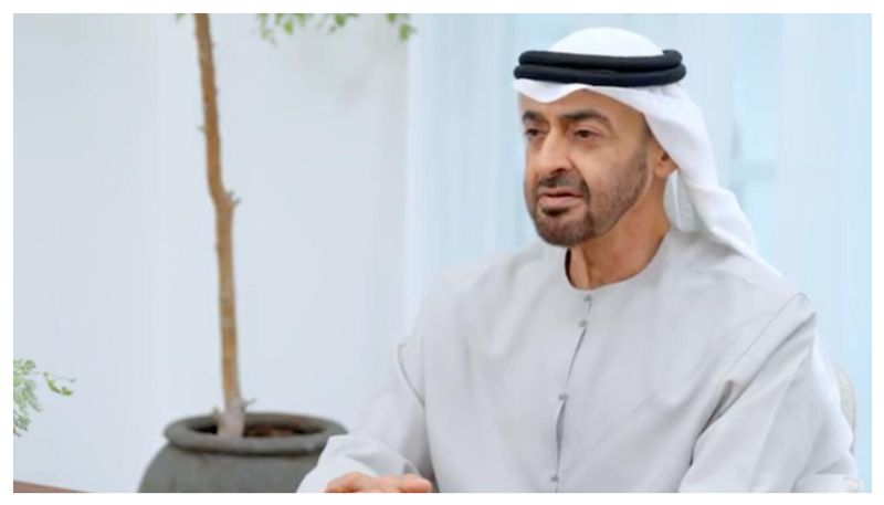 UAE President takes important decision to pardon foreigners took part in demonstration in the country