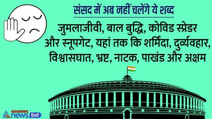 माननीय Attention Please-सदन में अंट-शंट जुमलाजीवी, बालबुद्धि, पाखंड, बचपना जैसे शब्द न बोलें, तो ठीक रहेगा