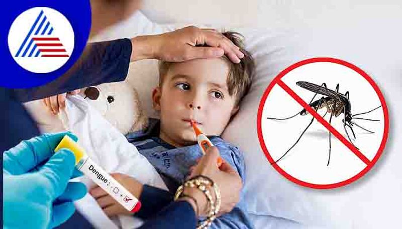 Dengue on the Rise: How to Protect Your Kids from Mosquitoes? Rya