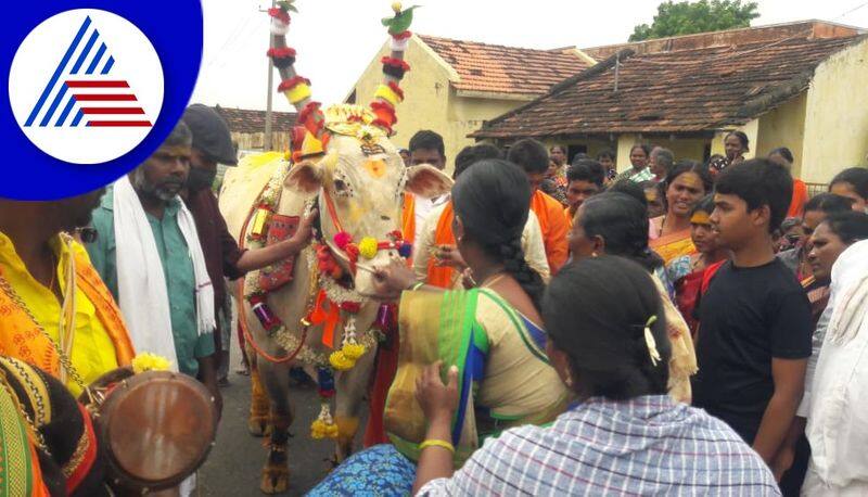 Devotees Made Special Decorations for Basavanna and Celebrated The Festival at Chikkamagaluru gvd