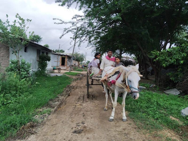 disability farmer Farming with Horse at kundagol rbj