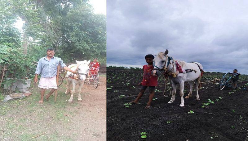 disability farmer Farming with Horse at kundagol rbj