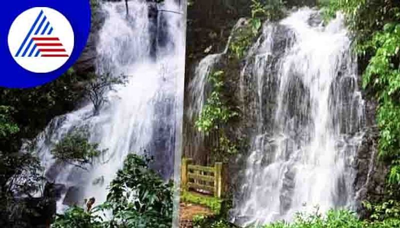 karike waterfalls are reborn with the roar of the rain madikeri rav