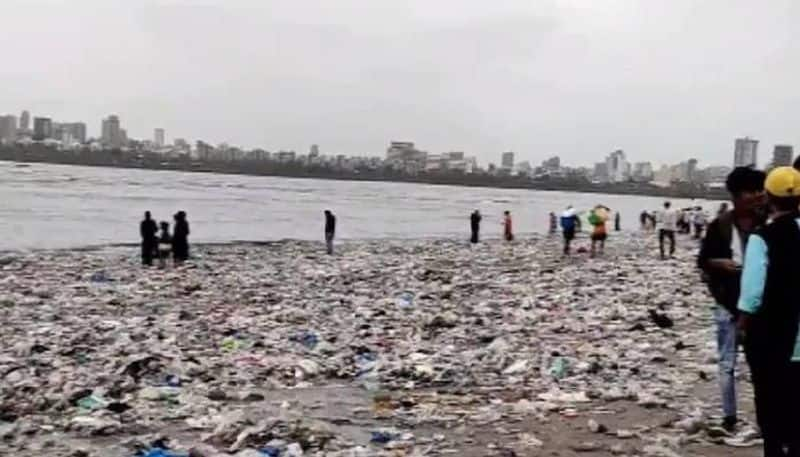 viral video shows plastic wastes in Mumbai Mahim beach 