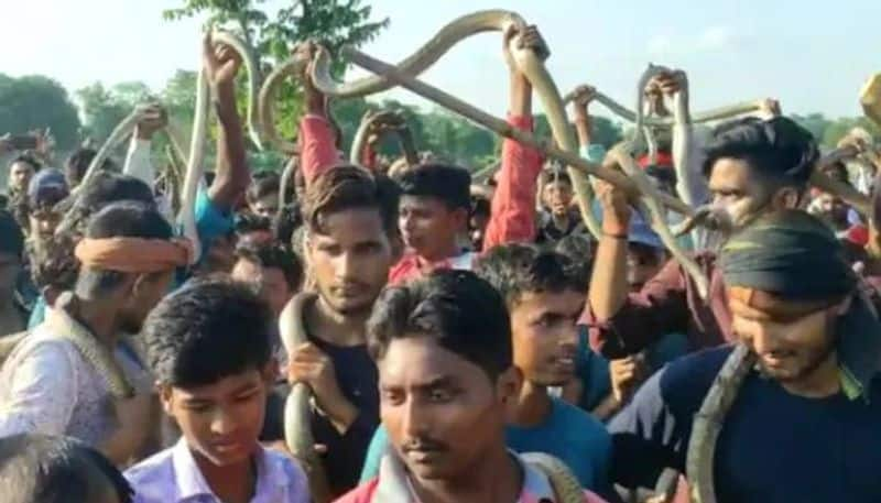 Nagpanchami festival in Samastipur district of Bihar