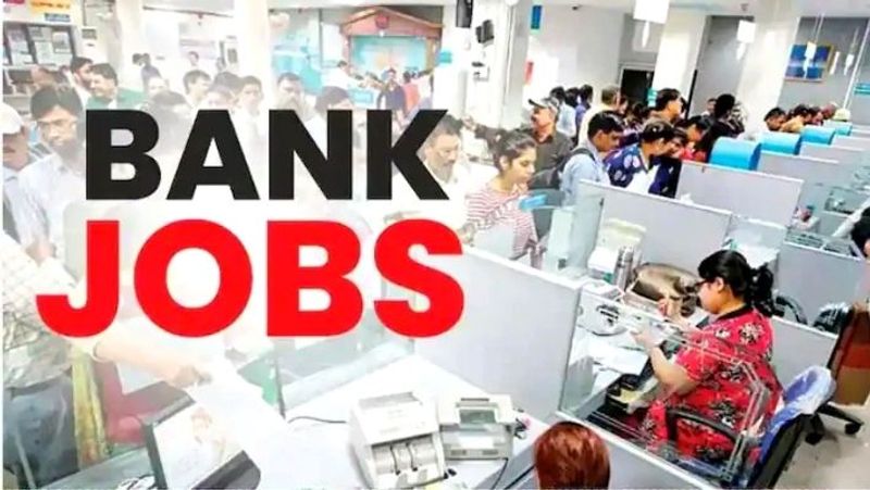 IBPS Recruitment 2023 : Apply for 4451 specalist officers today is last date to apply full details here Rya