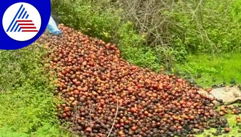 Farmers Faces Problems Due to Crop Loss in Chitradurga grg