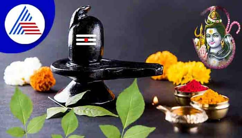 Importance Of Bilva Patra which is favorite to lord shiva