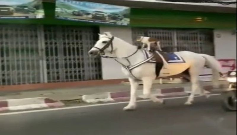 क त त क प ठ पर ब ठ कर शहर क स र कर त द ख घ ड व यरल व ड य म