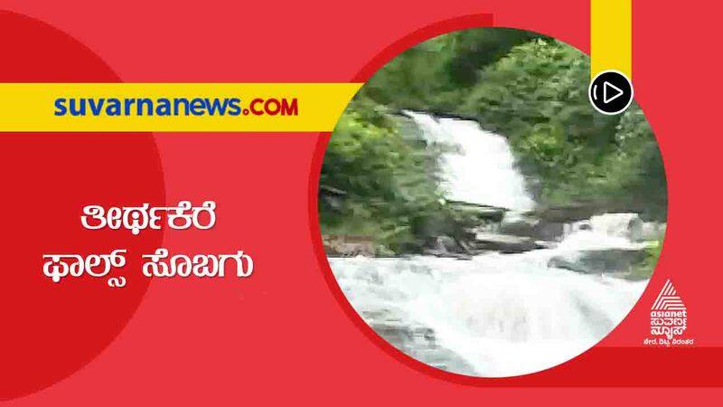 Beauty of Chikkamagaluru Thirthakere Falls hls 