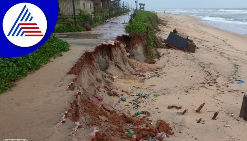 Coastal erosion  warning from a marine biologist rav