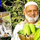 single tree which breeds 300 different types of mangoes by mango man of India bni