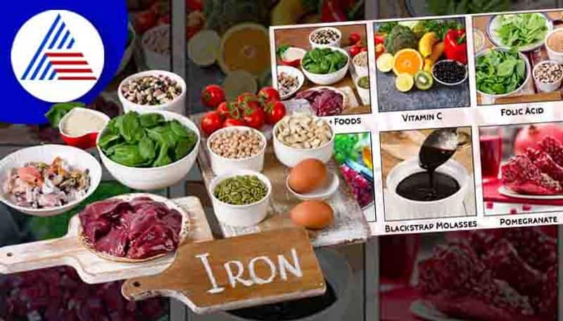 eat these foods rich in iron to increase hemoglobin levels rsl