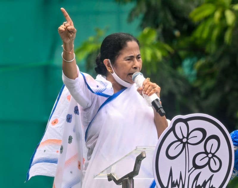 I dare the BJP to arrest me; allegations of asset increase are baseless,' Mamata says.