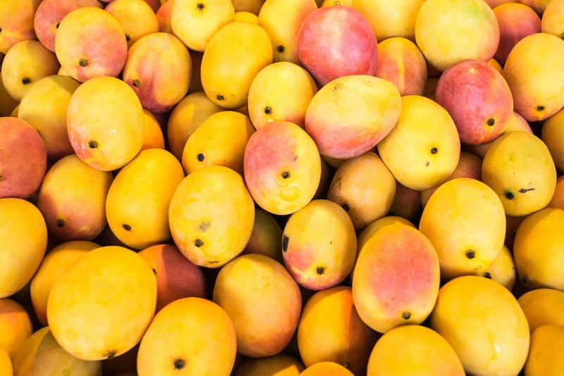 Juicy mango will be delivered to your doorstep by Postal service Vin