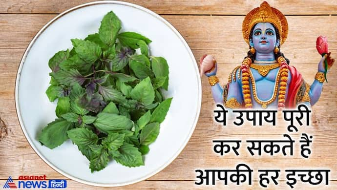 Kamika Ekadashi 2022: 24 जुलाई को कामिका एकादशी पर करे ये 5 उपाय, दूर हो सकती है हर टेंशन