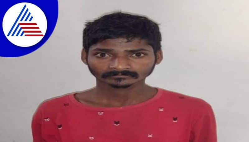 Son Arrested In Killing Mother In Chikkamagaluru gvd