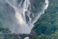 Hidden Gems: Maharashtra's Most Enchanting Waterfalls!