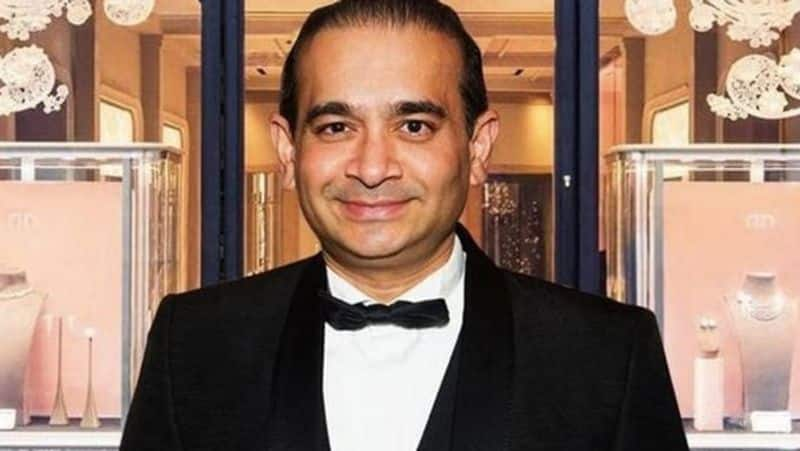 If deported to India I may be killed, or commit suicide.. Nirav Modi screams.. 