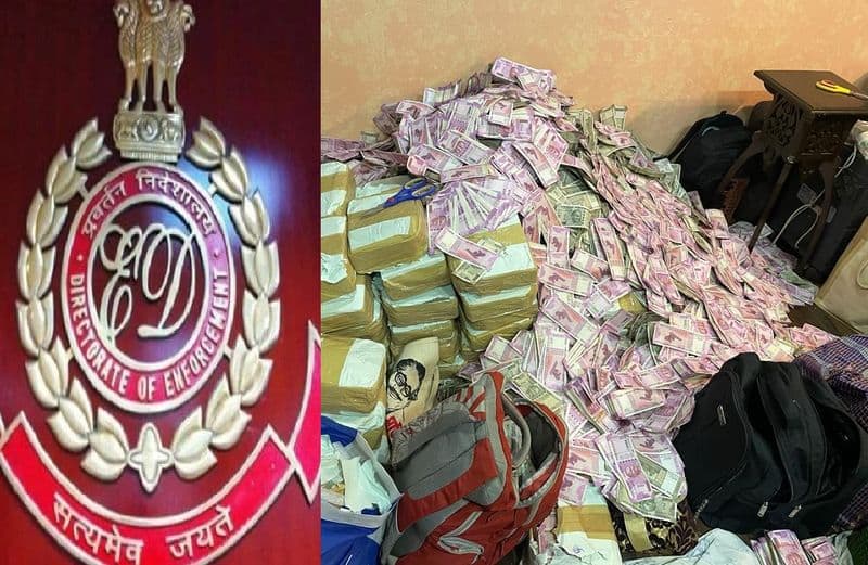 20 crore in cash recovered by ed from the house of an associate of west bengal minister