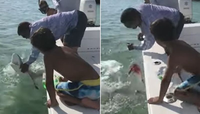 video in which shark biting mans palm 