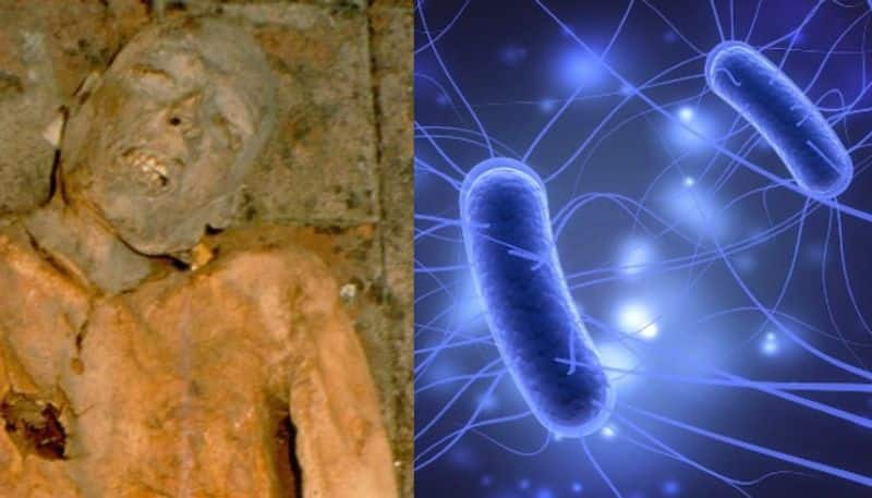 Genome of E.Coli Bacterium Reconstructed Using  600-Year-Old Mummy