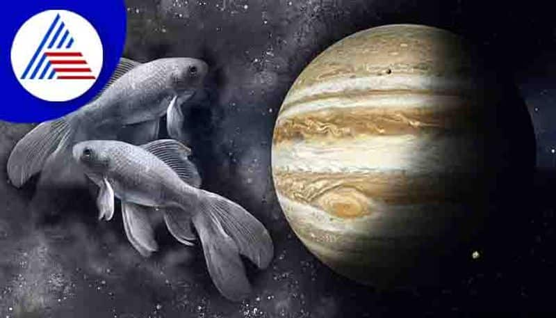 Jupiter Retrograde in Pisces What All Zodiac Signs Must Do to Be Successful skr