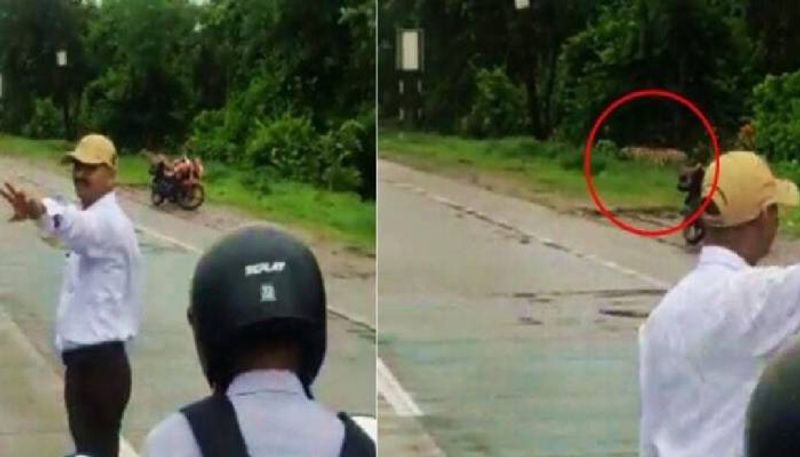 traffic police helps tiger to cross the road