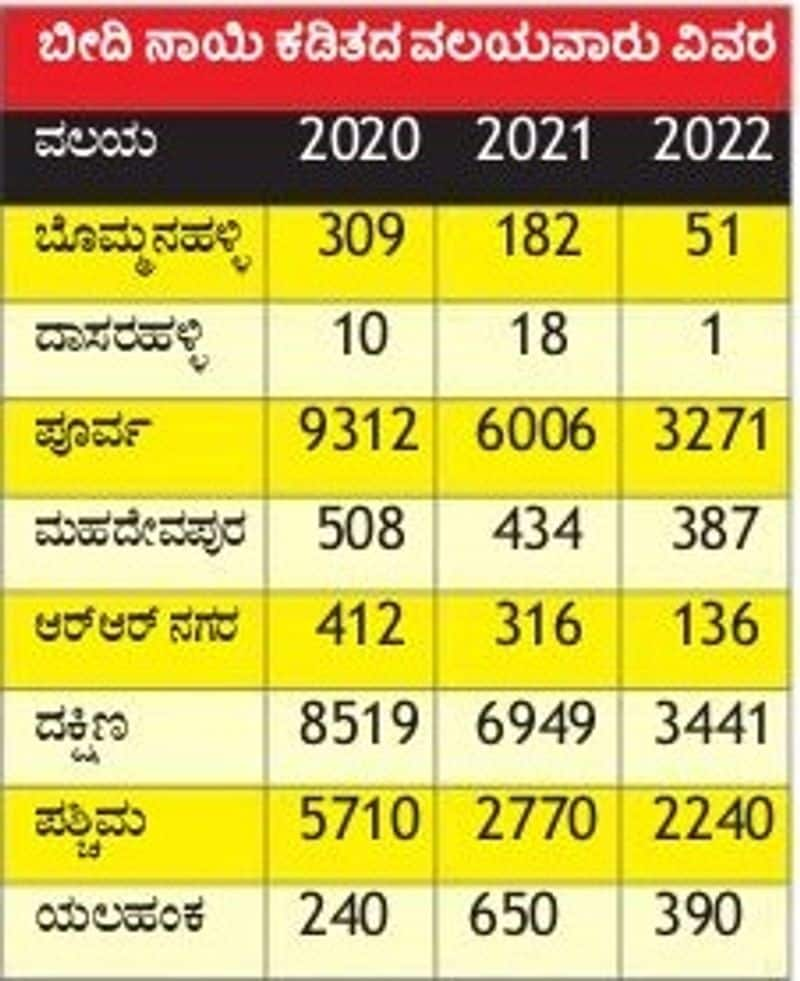 average 70 Stray dogs bite Cases in Bengaluru BBMP san