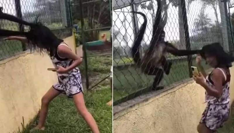 girl hits monkey enclosure monkey attacked her 