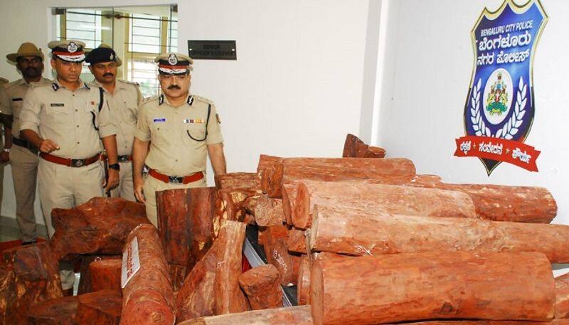 rupees 70 lakh worth red sandalwood seized in sholavaram