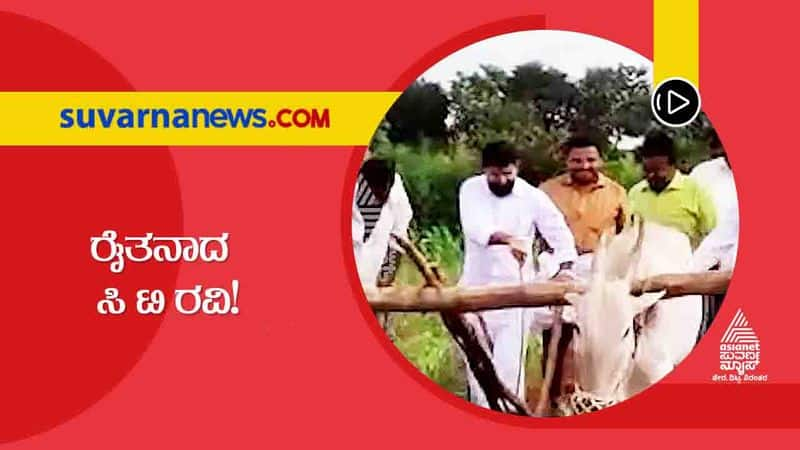 CT Ravi Farming in Chikkamagaluru Video Goes Viral hls 