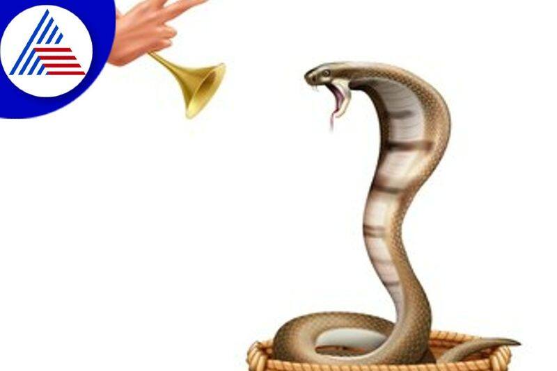 Nag Panchami 2022 Know these superstitions associated with snakes skr