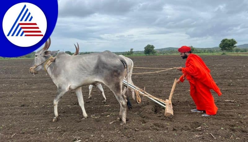 Shwaasaguru Sri Vachanananda Swamiji Farming At Davanagere District gvd