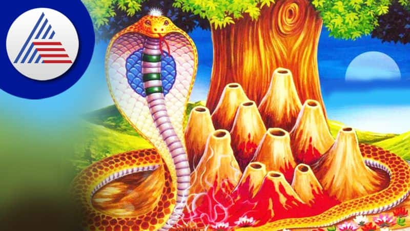 Snakes are worshiped on the day of Nag Panchami here is the method of worship skr