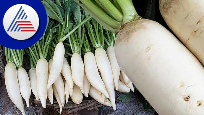 If you eat radish, get rid of the disease!