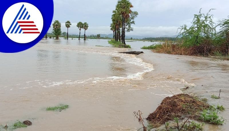 Heavy Rain at Madanuru Village In Bidar gvd