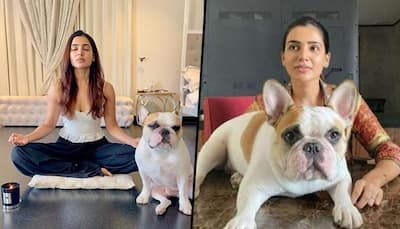 Pictures: Take a tour of Samantha Ruth Prabhu's Hyderabad house; bedroom to kitchen garden and more 