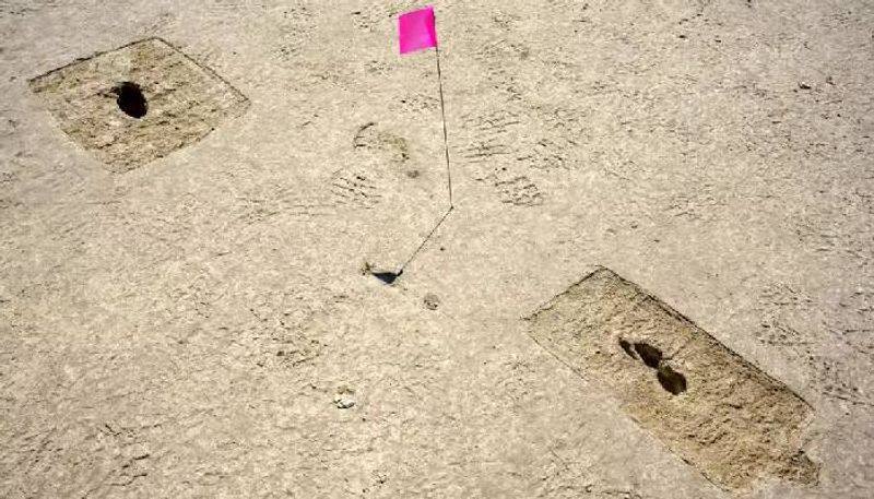 12000 year old footprint found 